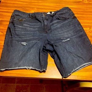 Terra and sky knee length shorts size 20